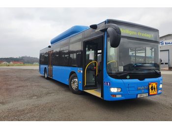 Gradski autobus MAN Lions City A21 CNG Euro 6: slika 1