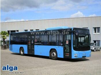 Gradski autobus MAN Lions City, A78, Euro 6, A/C, 43 Sitze: slika 1