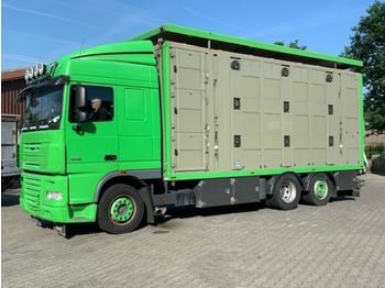 Kamion za prevoz stoke DAF  XF 105/460 SC Menke 3 Stock Hubdach: slika 1
