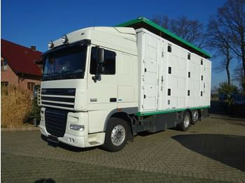 Kamion za prevoz stoke DAF XF 105/460 SSC Menke 3 Stock Hubdach: slika 1