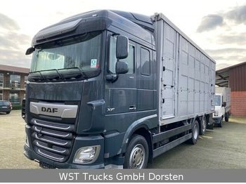 Kamion za prevoz stoke DAF XF 480 "Neu"  Menke 3 Stock Hubdach: slika 1
