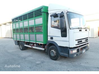 Kamion za prevoz stoke IVECO Eurocargo 80E18: slika 1