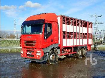 Kamion za prevoz stoke IVECO STRALIS 480 6x2: slika 1