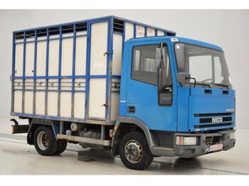 Kamion za prevoz stoke Iveco 65E14: slika 3