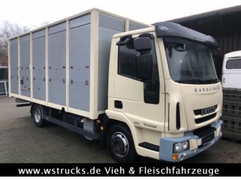 Iveco 100E22 mit Einstock  Baujahr 2013  - Kamion za prevoz stoke
