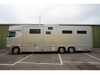 Kamion za prevoz stoke Scania S500 6X2 HORSE TRANSPORT TRUCK