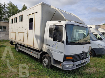 Mercedes-Benz 815 - Kamioni za prevoz konja