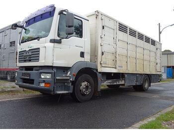 Kamion za prevoz stoke MAN 15.280 LL TGM  Menke Einstock: slika 1
