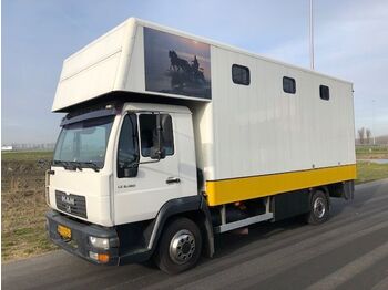 Kamioni za prevoz konja MAN LE8-180: slika 1