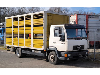 Kamion za prevoz stoke MAN L 2000  12.224 mit KABA Doppelstock Vollalu: slika 3