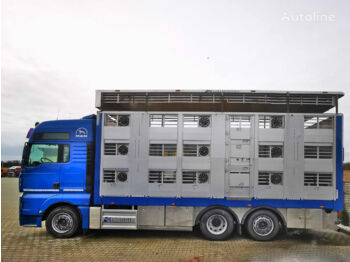 Kamion za prevoz stoke MAN MAN TGA 26.440 XXL/Żywiec/Do zwierząt/Do bydła/Do świń/Podnoszon: slika 1