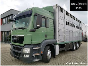 Kamion za prevoz stoke MAN TGS 26.440 / 3 Stock  Menke Janzen/ Lenkachse: slika 1