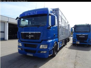 Kamion za prevoz stoke MAN TGX 26.480 6x2-2 LL 3 Stock: slika 1