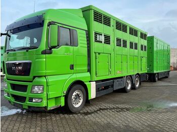 Kamion za prevoz stoke MAN TGX 26.480 XL KABA   3 Stock Vollalu: slika 1
