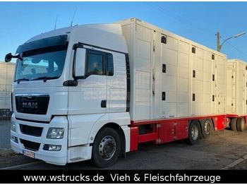 Kamion za prevoz stoke MAN TGX 26.480 XL Menke   3 Stock Vollalu: slika 1