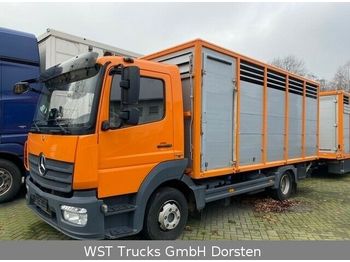 Kamion za prevoz stoke Mercedes-Benz 824L Einstock Vollalu: slika 1