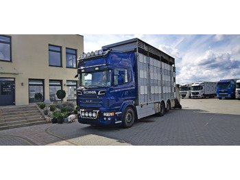 Kamion za prevoz stoke SCANIA R 620/ Pezzaioli / do Przewozu bydła trzody: slika 1