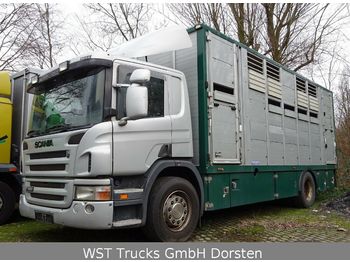 Kamion za prevoz stoke Scania P 380 mitt Menke Doppelstock: slika 1