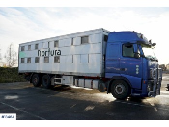 Kamion za prevoz stoke Volvo FH12: slika 1