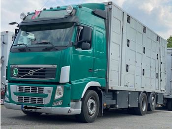 Kamion za prevoz stoke Volvo FH 420 Globe XL 3 Stock Menke: slika 1