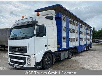 Kamion za prevoz stoke Volvo FH 460  XL Mega Vollausstattung: slika 1