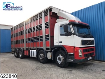 Kamion za prevoz stoke Volvo FM13 400 8x2, Steel suspension, Retarder, Manual: slika 1