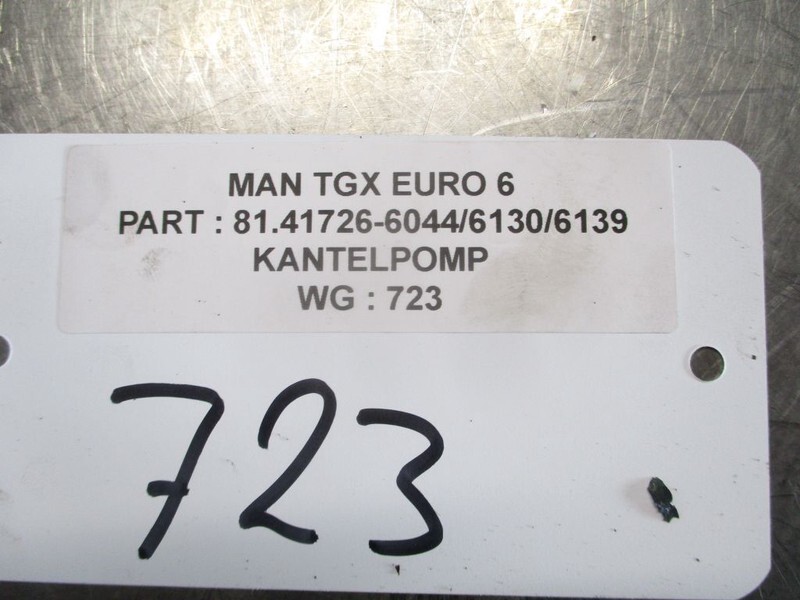 Hidraulika za Kamion MAN 81.41726-6044/6130//6139 KANTELPOMP TGX TGS TGM TGL EURO 6: slika 3