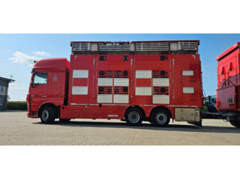 Kamion za prevoz stoke DAF XF 105 510