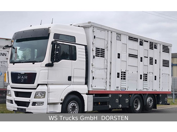 Kamion za prevoz stoke MAN TGX 26.440