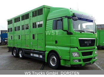 Kamion za prevoz stoke MAN TGX 26.480