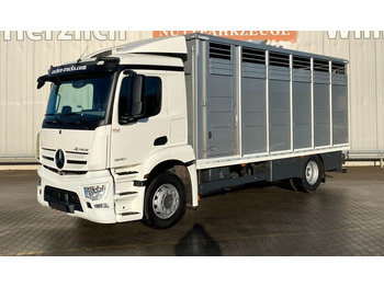 Kamion za prevoz stoke MERCEDES-BENZ Actros