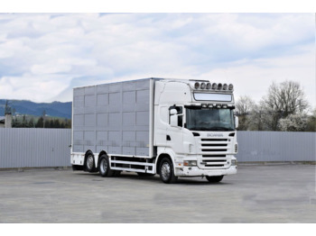 Kamion za prevoz stoke SCANIA R 500