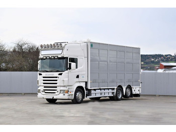 Kamion za prevoz stoke SCANIA R 500