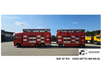 DAF DAF Pezzaioli XF 105.510 XF 105.510 - Kamion za prevoz stoke: slika 1