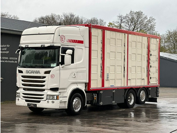 Scania R490 EU6 6x2 4.Stock Menke m. Hubdach & Tränke  - Kamion za prevoz stoke: slika 1