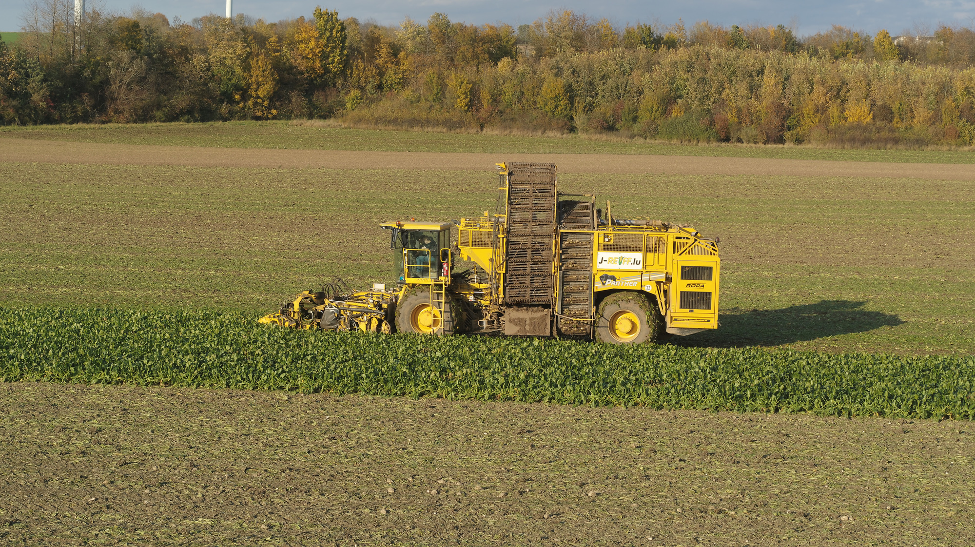 J.Reiff s. á r.l. - vozila za prodaju undefined: slika 30