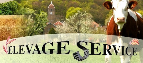 Druga mašina dans le cadre de son developpement recherche pour base CENSEAU et TAVAUX