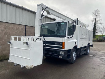 : fotografija u zaglavlju