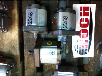 : fotografija u zaglavlju