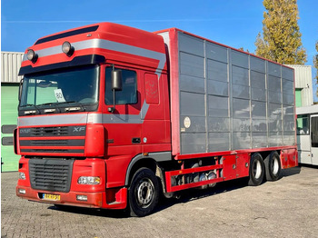 Kamion za prevoz stoke DAF XF 95 430