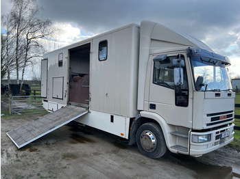 Kamioni za prevoz konja IVECO