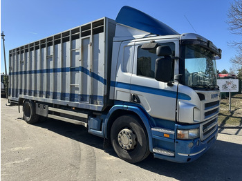 Kamion sa zatvorenim sandukom SCANIA P 310