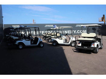 Golf auto BRINGO DG-C2 Valid Inspection, *Guarantee! Dutch R: slika 4