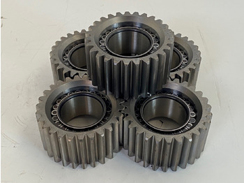 : fotografija u zaglavlju