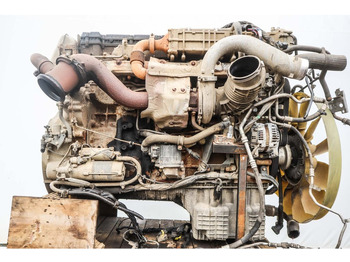 : fotografija u zaglavlju