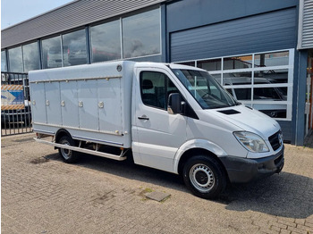 Dostavno vozilo hladnjača MERCEDES-BENZ Sprinter 313