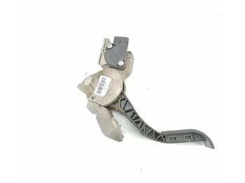 Obrada goriva/ Dostava goriva DAF