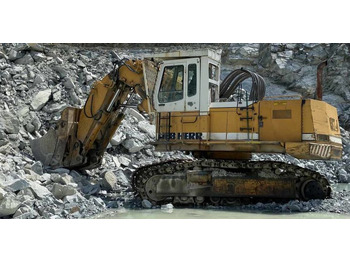 Bager LIEBHERR R 974