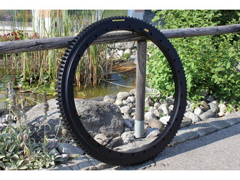 : fotografija u zaglavlju