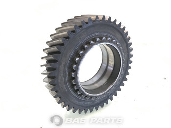 : fotografija u zaglavlju